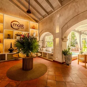 Moet Boutique Adutls Only Cartagena